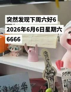 本周六“6666”！网友们调侃：年度最6日