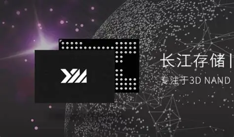 试水折戟，亲征启幕：国产存储芯片巨头的IPO变奏曲