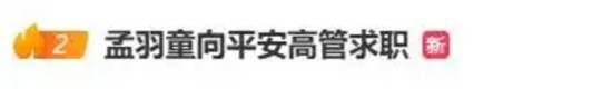 孟羽童向平安高管求职 现场就被录用了